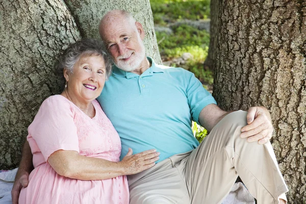 Loving Seniors Embrace Stock Picture