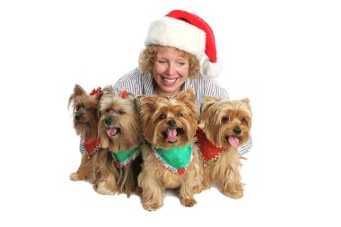 Proud Owner with Yorkies clipart