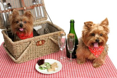 Picnic Puppies clipart