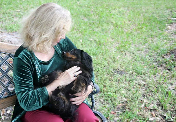 Cuddly Dachshund in the Park — Stock Photo, Image