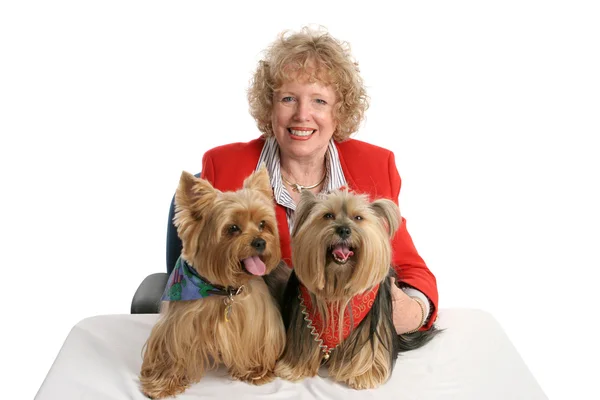 Yorkie Twins & Owner — Stock Photo, Image