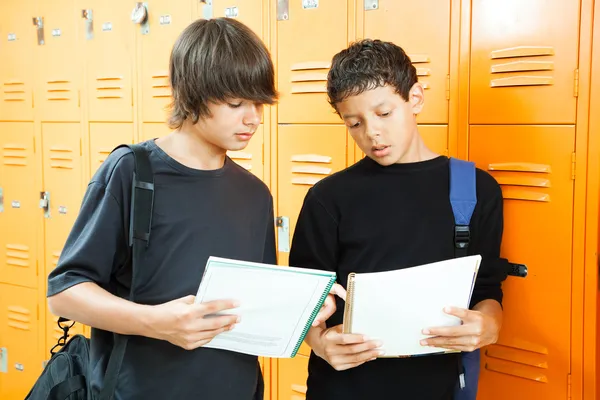 Tiener jongens vergelijken huiswerk — Stockfoto