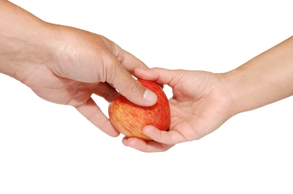 Jabłko w rękach kobiet i mężczyzn na białym tle — Zdjęcie stockowe