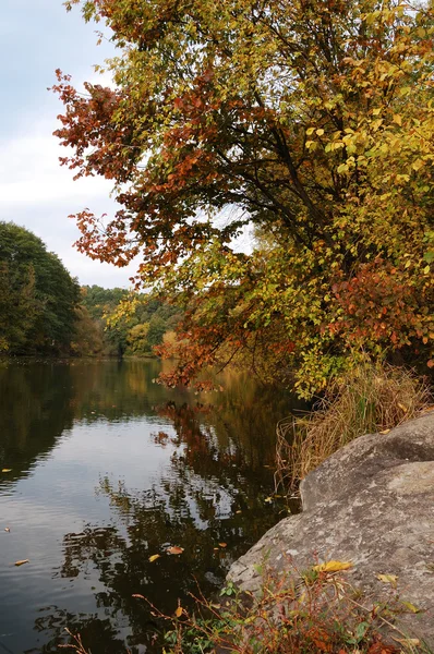 Outono creek madeiras com árvores amarelas folhagem e rochas na floresta — Fotografia de Stock