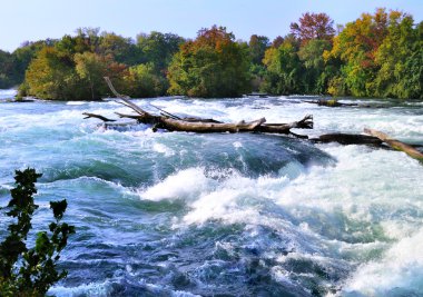 Mountain river rapids in autumn clipart