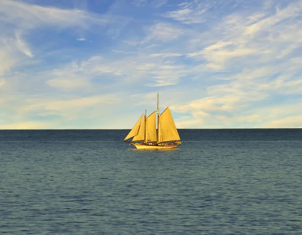 stock image Single sail boat on the lake.