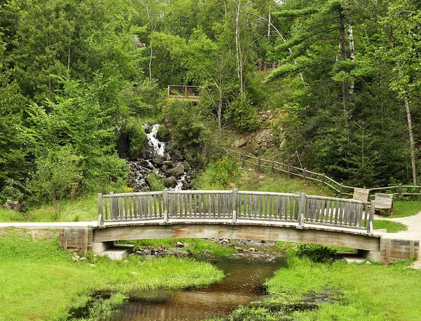 Dřevěný most v parku — Stock fotografie