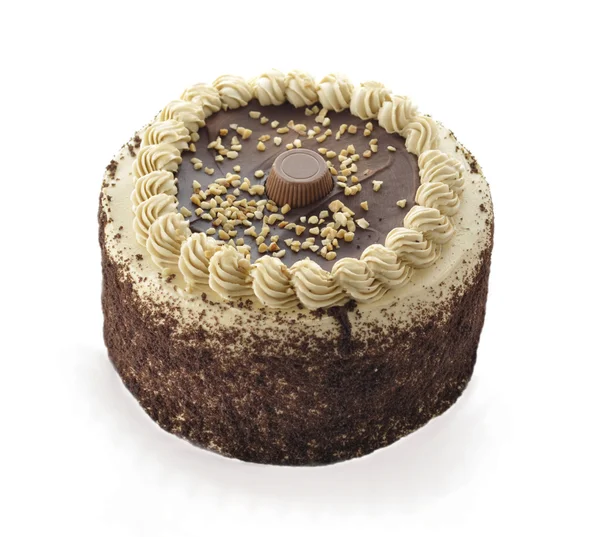 Chocolate peanut butter cake — Stock Photo, Image