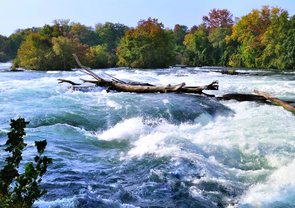 Mountain river rapids in autumn — Stok fotoğraf