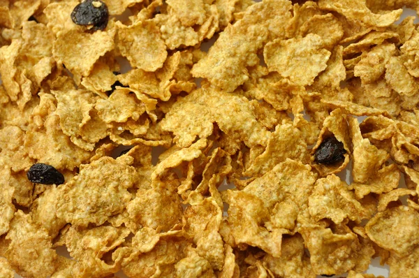 Bran and raisin cereal background — Stock Photo, Image
