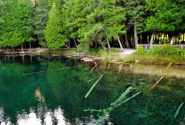 Lago en el bosque — Foto de Stock