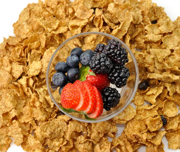 Bran and raisin cereal — Stock Photo, Image