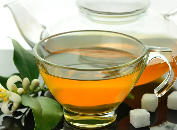 Green tea composition — Stock Photo, Image