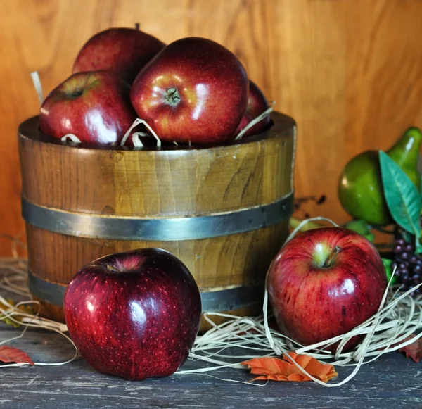 stock image Red apples
