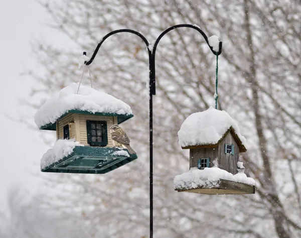 Alimentadores de aves en el parque de invierno — Foto de Stock