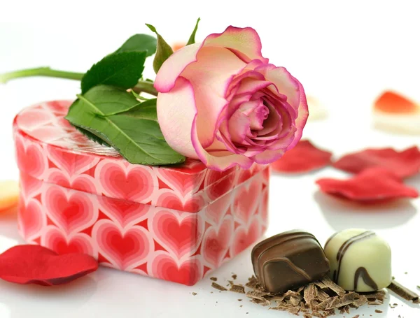 Rosa rosa y caja de regalo — Foto de Stock