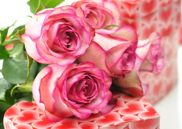 Roze rozen en geschenkdozen — Stockfoto
