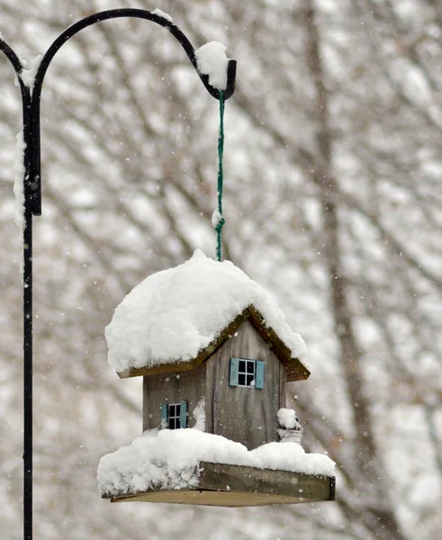 Годівниця для птахів в зимовому парку — стокове фото