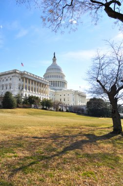 Capitol Binası, hill washington dc.