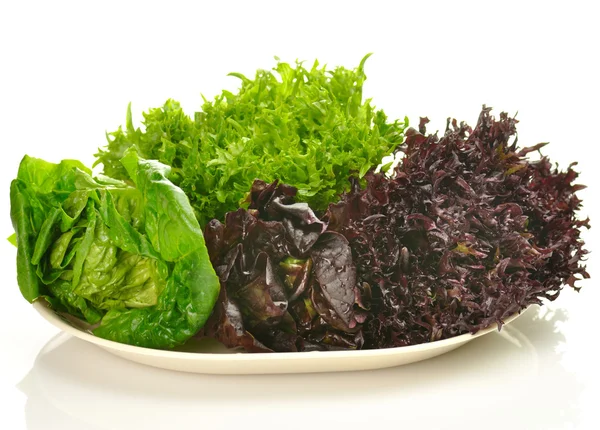 Surtido de hojas de ensalada fresca en un plato — Foto de Stock