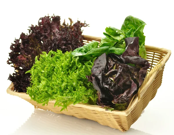 Čerstvý salát listy sortiment — Stock fotografie
