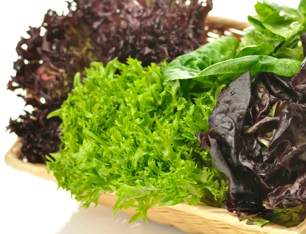Sortiment frischer Salatblätter — Stockfoto