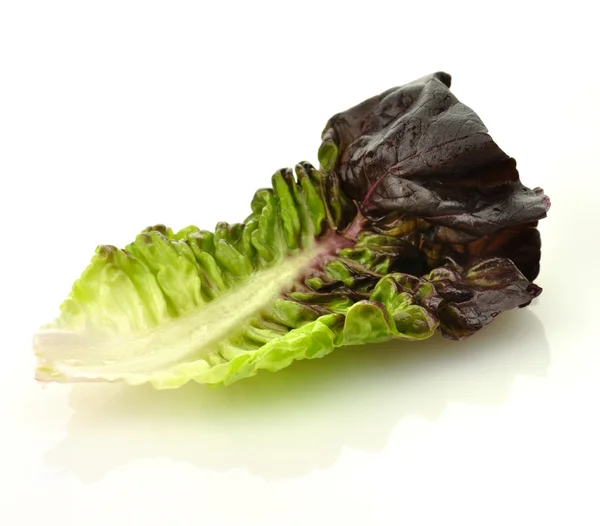 Красный лист салата — стоковое фото