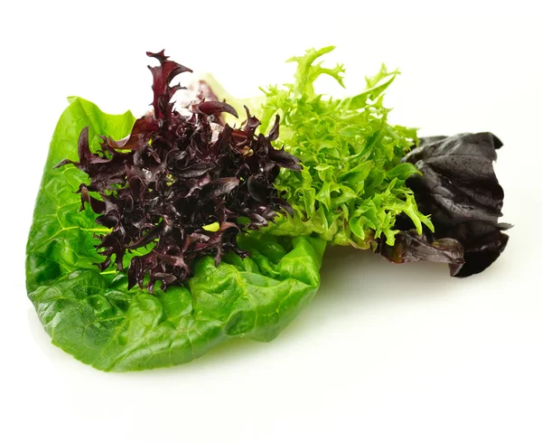 Ассортимент свежих листьев салата — стоковое фото