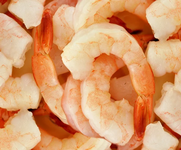 Peeled prawns background — Stock Photo, Image