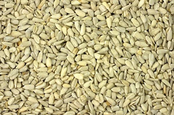 Tło nasion słonecznika — Zdjęcie stockowe