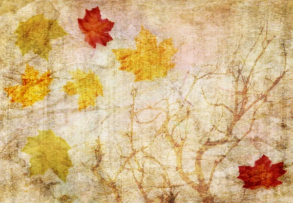 Grunge abstrait automne fond — Photo