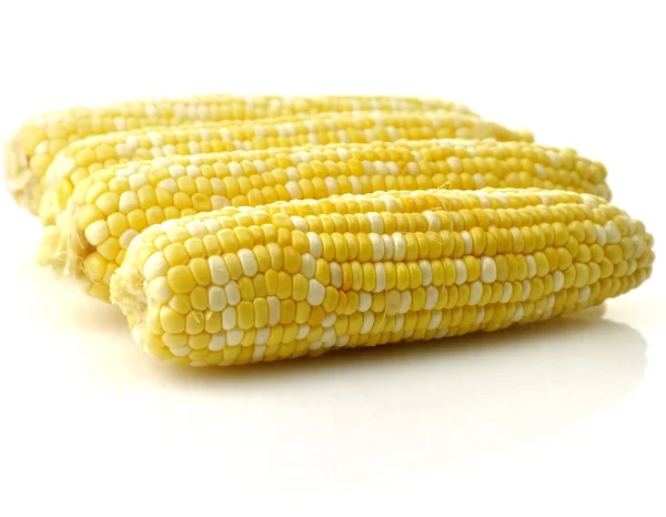 Čerstvé syrové kukuřice — Stock fotografie