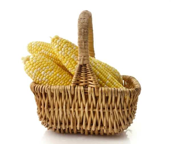 Уши кукурузы — стоковое фото