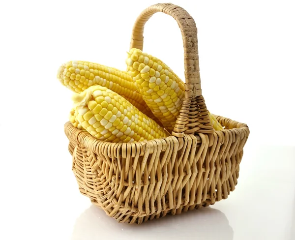 Ears of corn — Stock Photo, Image