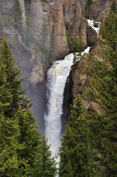 Tower Falls Waterfall — Stock Photo, Image