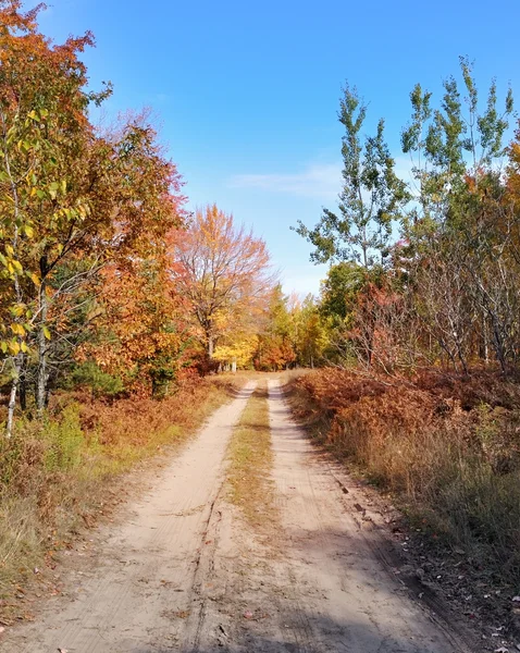 Wiejskiej drodze i jesień las — Zdjęcie stockowe