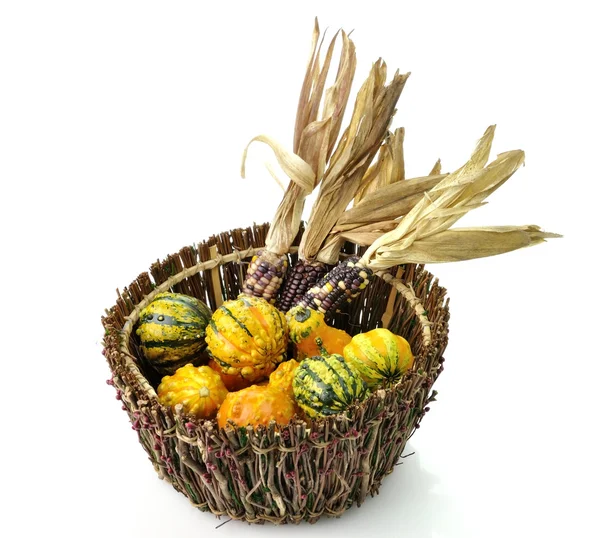 Декоративні сквош і барвисті кукурудзи — стокове фото