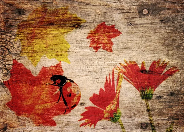 Fall Theme Background — Stock Photo, Image