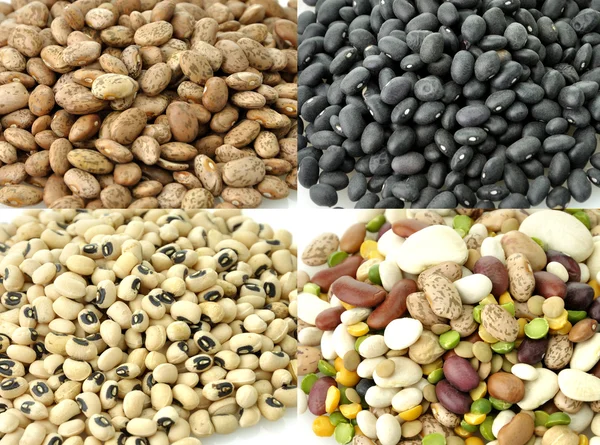 Raw Beans Collection — Stock Photo, Image
