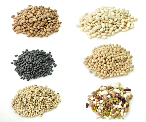 Raw Beans Collection — Stock Photo, Image