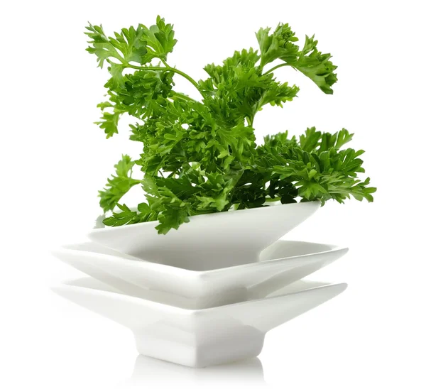 Fresh Parsley Herb — Stock Photo, Image