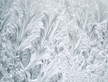 Frozen Window Background clipart