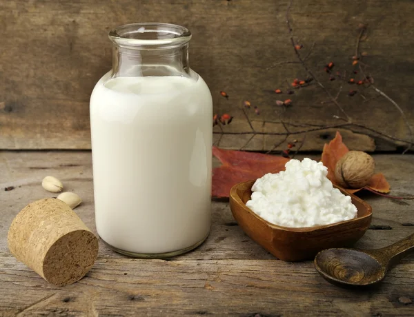 Milk And Cottage Cheese — Stock Photo, Image