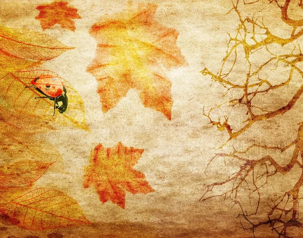 Grunge 抽象秋天背景 — 图库照片