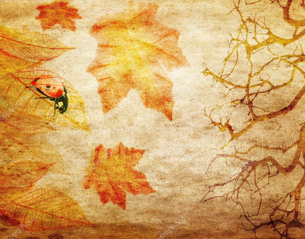 Grunge abstract fall background — Stock Photo © svetas #7802667