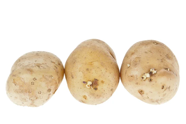 白色背景的新鲜土豆 — 图库照片