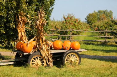 Pumpkins in Wagon clipart