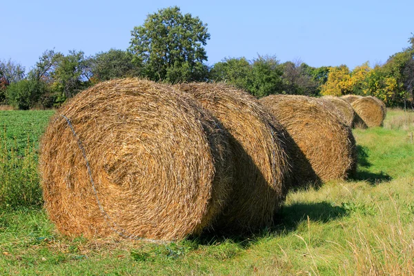 stock image Rolling haystacks