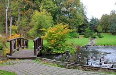 Köprü ve göl sonbahar Park