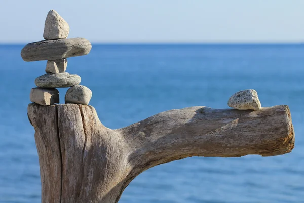 stock image Stone man on dead tree against lake Ontario